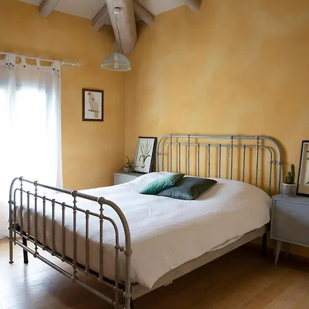 * * * * * Splendida *