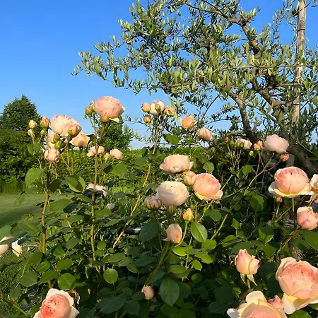 * * * * * Splendida Διαμέρισμα