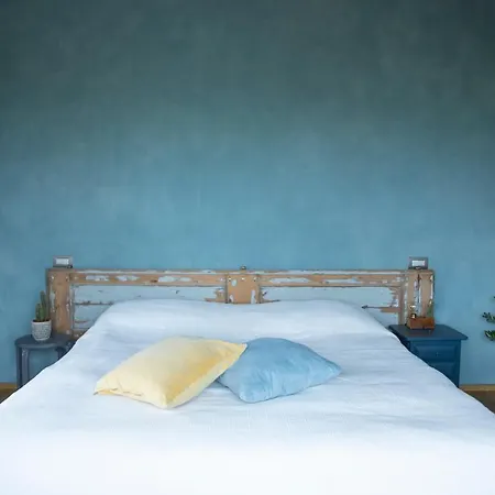 * * * * * Splendida * 卡斯泰纳索