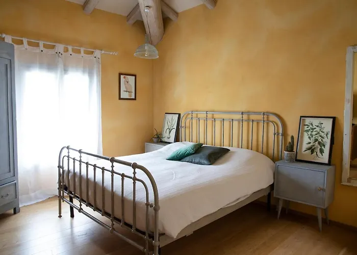 * * * * * Splendida *