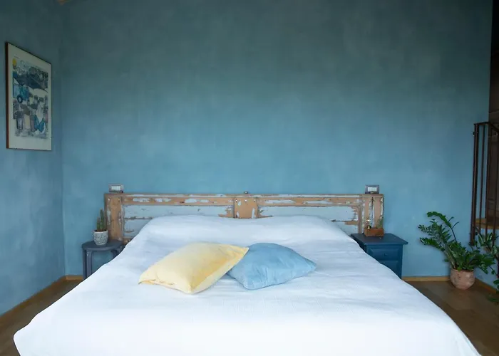 * * * * * Splendida * 卡斯泰纳索