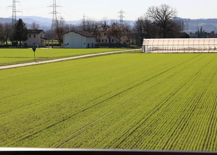 * * * * * Splendida Appartement *